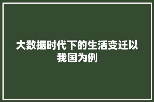 大数据时代下的生活变迁以我国为例
