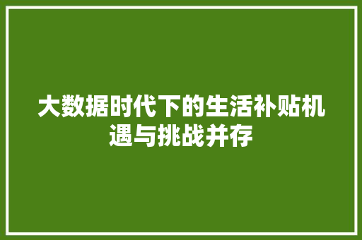 大数据时代下的生活补贴机遇与挑战并存