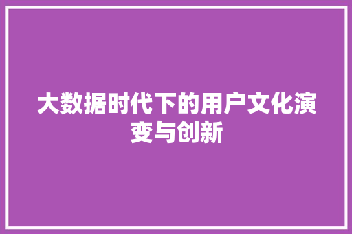 大数据时代下的用户文化演变与创新