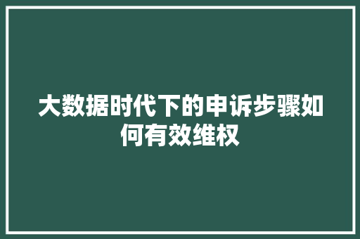 大数据时代下的申诉步骤如何有效维权