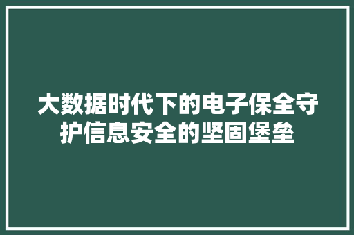 大数据时代下的电子保全守护信息安全的坚固堡垒