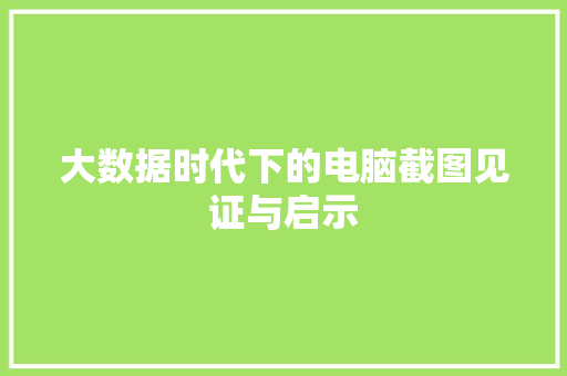 大数据时代下的电脑截图见证与启示