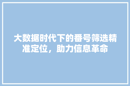 大数据时代下的番号筛选精准定位，助力信息革命