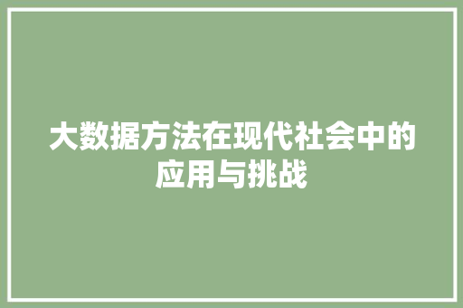 大数据方法在现代社会中的应用与挑战 建站教程