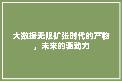 大数据无限扩张时代的产物，未来的驱动力