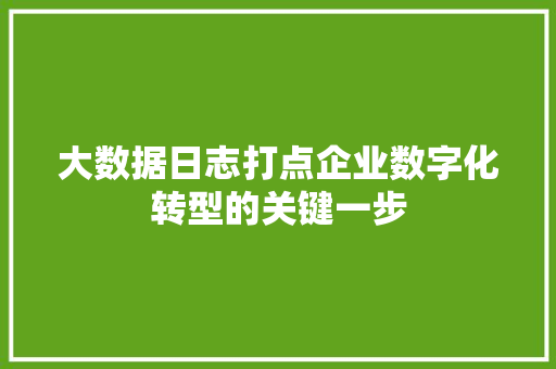 大数据日志打点企业数字化转型的关键一步