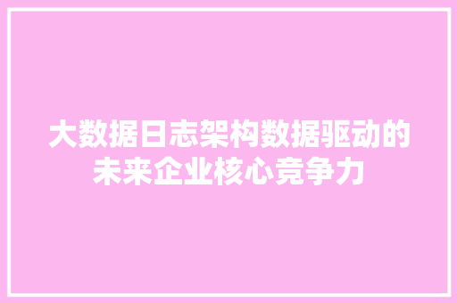 大数据日志架构数据驱动的未来企业核心竞争力