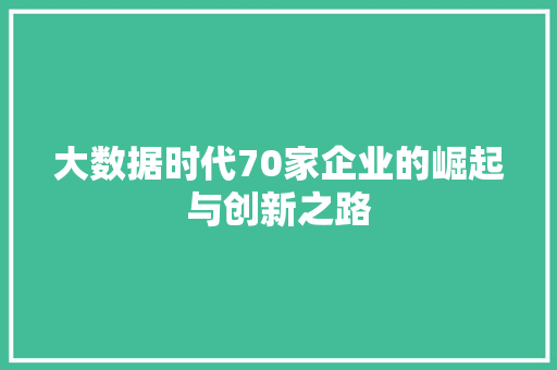 大数据时代70家企业的崛起与创新之路 友链在线