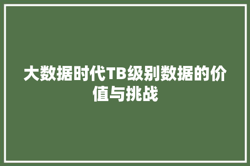大数据时代TB级别数据的价值与挑战