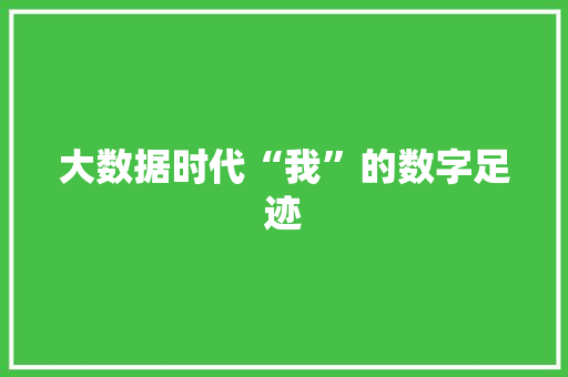 大数据时代“我”的数字足迹