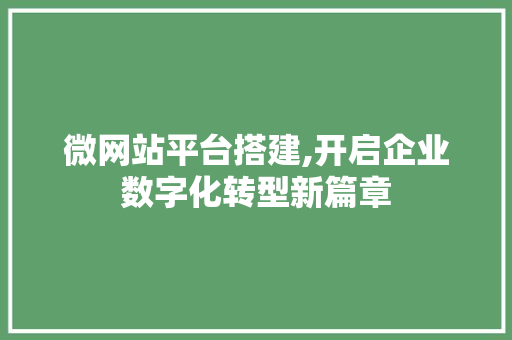 微网站平台搭建,开启企业数字化转型新篇章