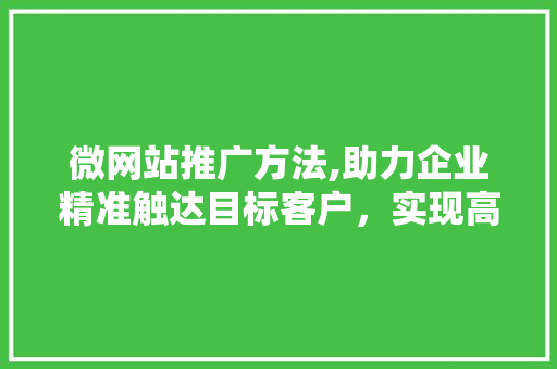 微网站推广方法,助力企业精准触达目标客户，实现高效营销
