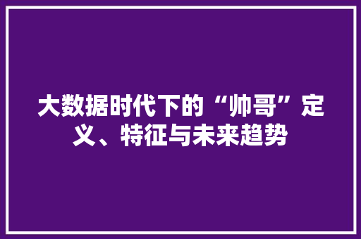 大数据时代下的“帅哥”定义、特征与未来趋势