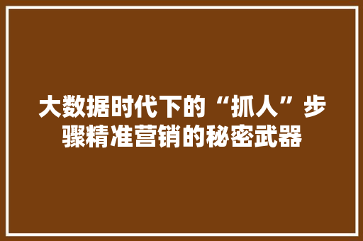 大数据时代下的“抓人”步骤精准营销的秘密武器
