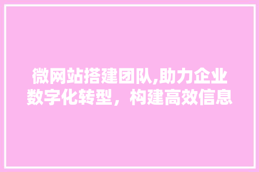 微网站搭建团队,助力企业数字化转型，构建高效信息传播新平台 微网站搭建团队,助力企业数字化转型，构建高效信息传播新平台 SEO教程