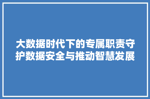 大数据时代下的专属职责守护数据安全与推动智慧发展