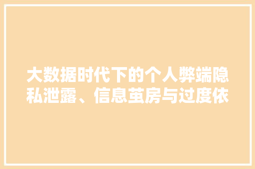 大数据时代下的个人弊端隐私泄露、信息茧房与过度依赖