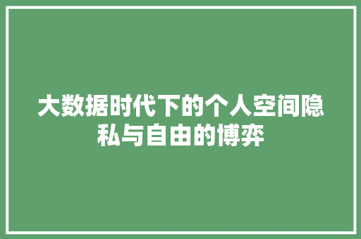 大数据时代下的个人空间隐私与自由的博弈