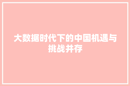 大数据时代下的中国机遇与挑战并存