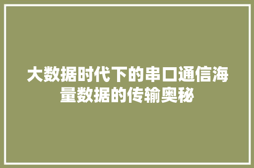 大数据时代下的串口通信海量数据的传输奥秘 Web前端