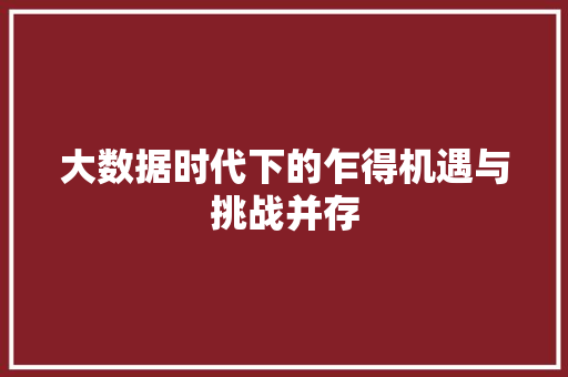 大数据时代下的乍得机遇与挑战并存