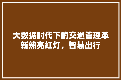 大数据时代下的交通管理革新熟亮红灯，智慧出行