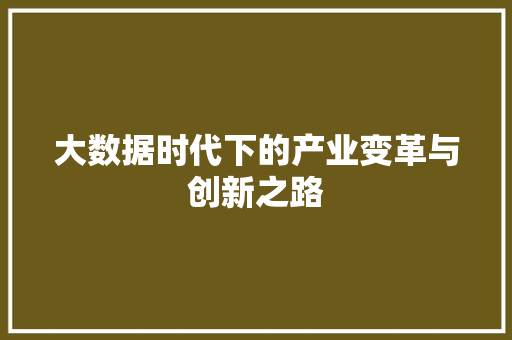 大数据时代下的产业变革与创新之路