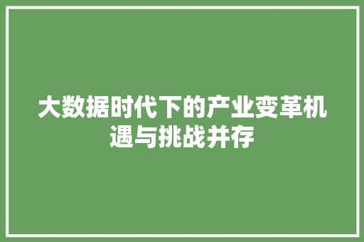 大数据时代下的产业变革机遇与挑战并存