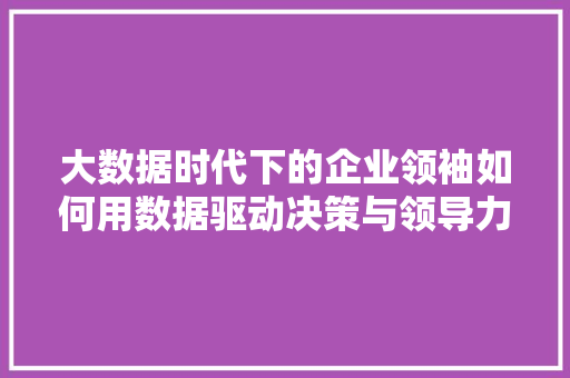 大数据时代下的企业领袖如何用数据驱动决策与领导力
