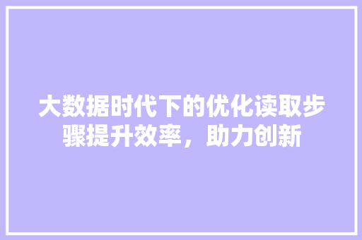 大数据时代下的优化读取步骤提升效率，助力创新
