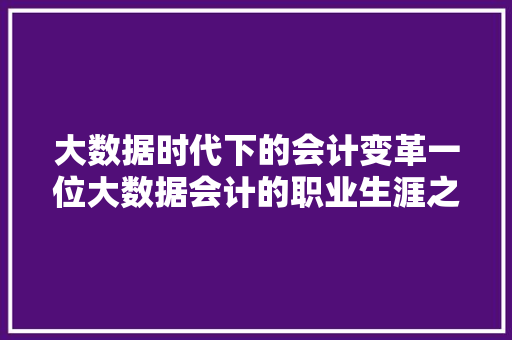 大数据时代下的会计变革一位大数据会计的职业生涯之路