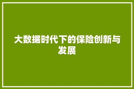 大数据时代下的保险创新与发展