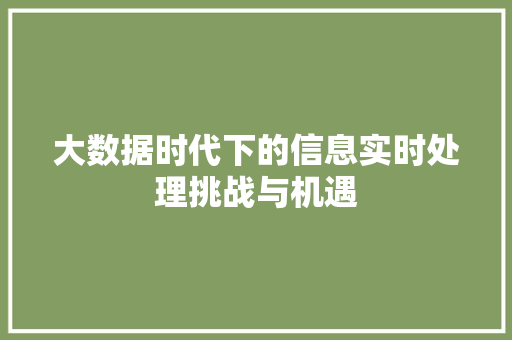 大数据时代下的信息实时处理挑战与机遇