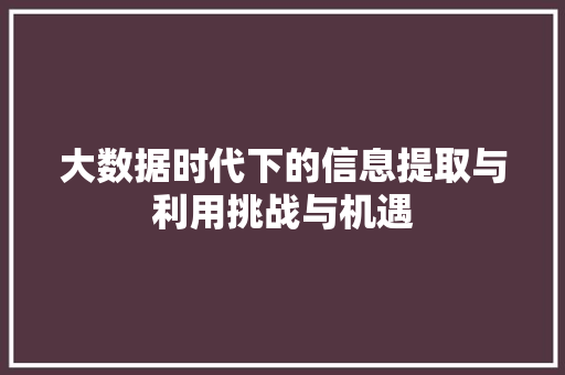 大数据时代下的信息提取与利用挑战与机遇