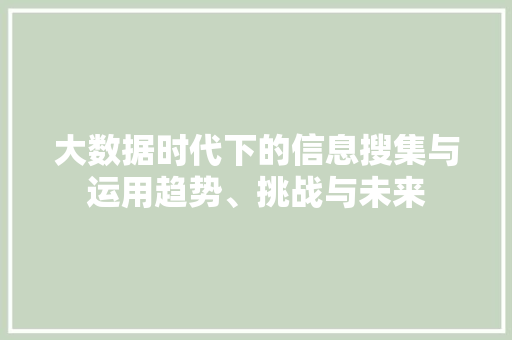 大数据时代下的信息搜集与运用趋势、挑战与未来