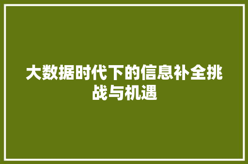 大数据时代下的信息补全挑战与机遇