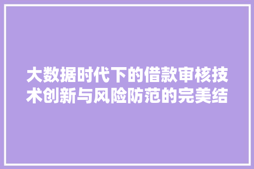 大数据时代下的借款审核技术创新与风险防范的完美结合