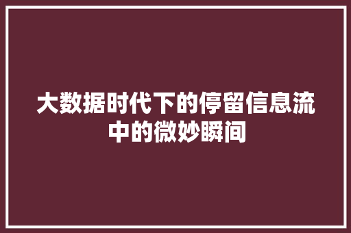 大数据时代下的停留信息流中的微妙瞬间