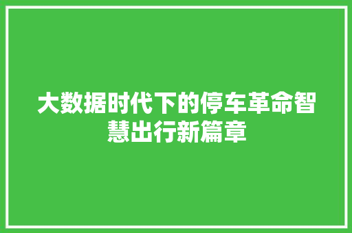 大数据时代下的停车革命智慧出行新篇章