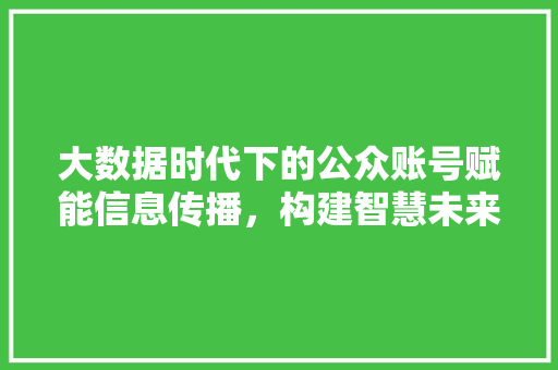 大数据时代下的公众账号赋能信息传播，构建智慧未来