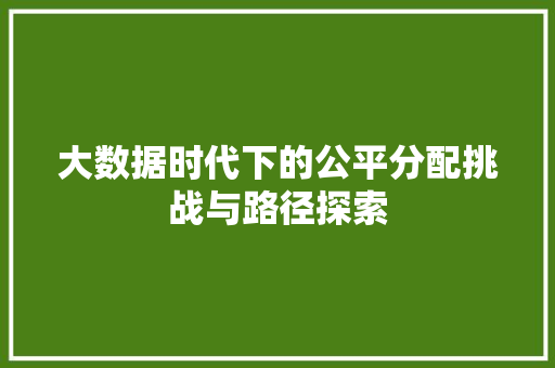 大数据时代下的公平分配挑战与路径探索