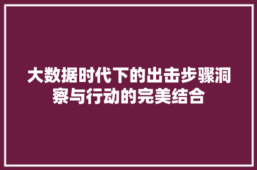 大数据时代下的出击步骤洞察与行动的完美结合