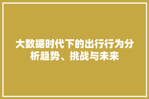 大数据时代下的出行行为分析趋势、挑战与未来