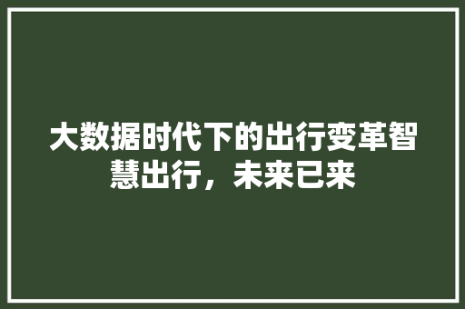 大数据时代下的出行变革智慧出行，未来已来
