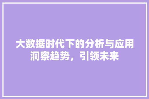 大数据时代下的分析与应用洞察趋势，引领未来