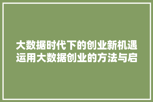 大数据时代下的创业新机遇运用大数据创业的方法与启示