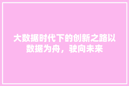 大数据时代下的创新之路以数据为舟，驶向未来