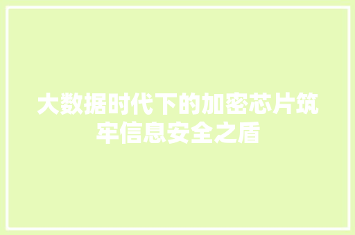 大数据时代下的加密芯片筑牢信息安全之盾