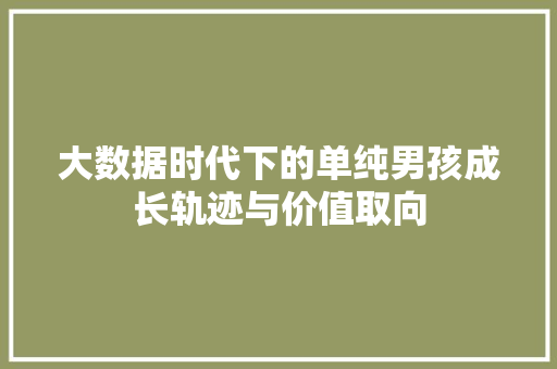 大数据时代下的单纯男孩成长轨迹与价值取向