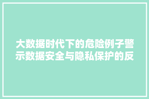 大数据时代下的危险例子警示数据安全与隐私保护的反思